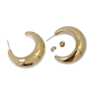 Γυναικεία Σκουλαρίκια Κρίκοι Asta CPE688D Anartxy Ατσάλινα-Επιχρύσωση IP 